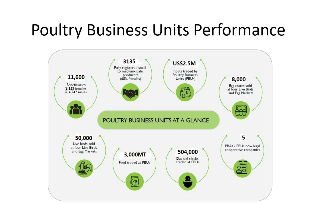 #HappeningNow IPVC established poultry business units (PBUs) in each cluster (Hre, Masvingo, Gweru, Mutare &amp; Byo), which act as administration and coordination units for collective action for SMPs. Below are the PBU achievements, as the project comes to an end. #StrongerTogether