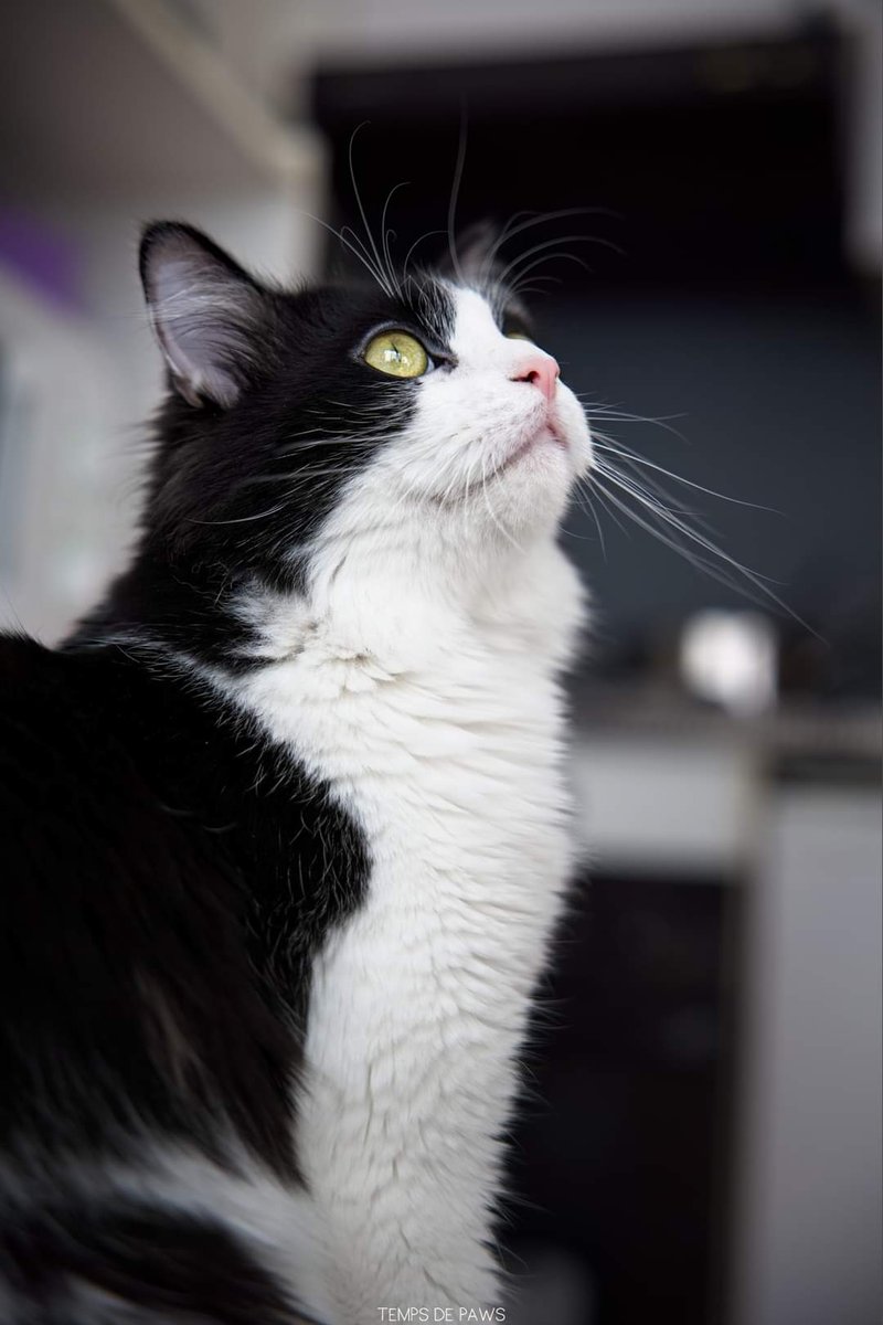 Association Owca tweet media