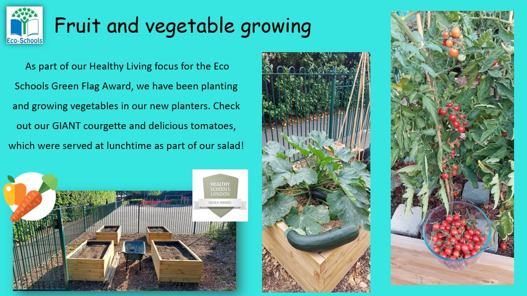 johnwoodsch's tweet photo. Wow, a really GIANT courgette!
@EcoSchools @healthyschools_
#creatingbrightfutures https://t.co/X2r30jTqY2