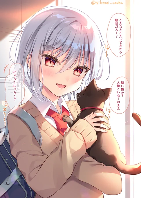 クールな転校生の可愛いところを見てしまった 