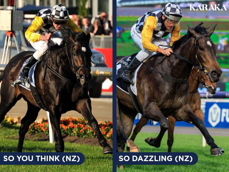 Like Father, Like Daughter 👑

Racing in the Dato Tan Chin Nam colours, just like her sire, exciting filly #SoDazzling (NZ) (So You Think) has secured herself a start in the Gr.1 VRC Oaks. Both #SoYouThink (NZ) and So Dazzling were purchased at #Karaka by agent Duncan Ramage.