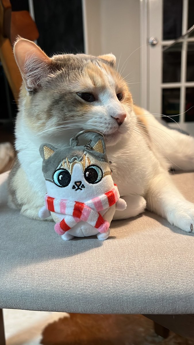 fatfatpankocat's tweet image. 