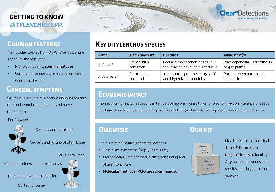 ClearDetections EN tweet media
