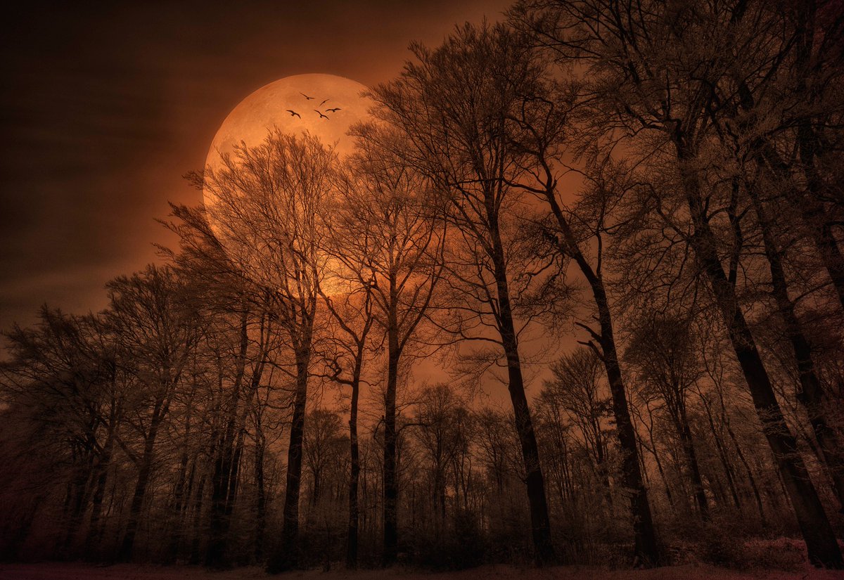 ChealseyWalber1's tweet photo. Where will I find you on this night?
#OctoberVibes #OctoberisClose #OctoberFeels https://t.co/ZY3NqfoHg5