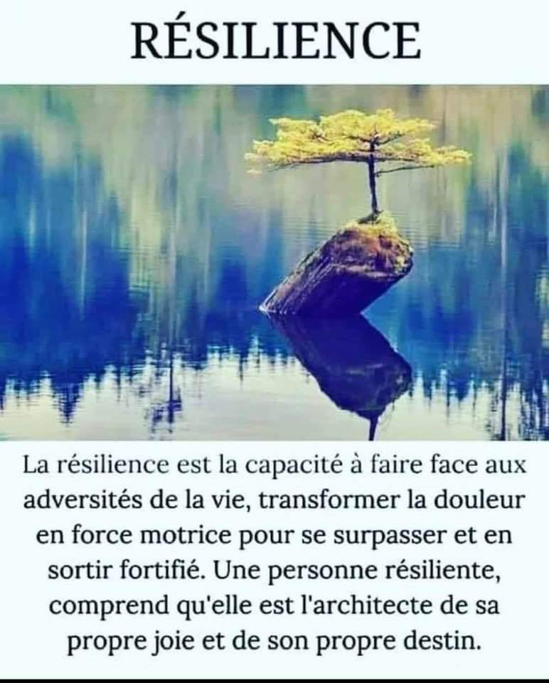 Good morning, bel automne à tous #lachezprise #détente #confiance #Sophrologie