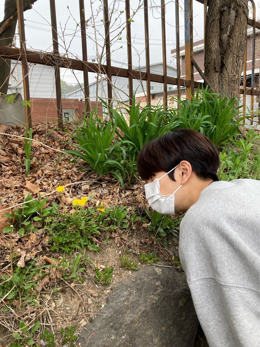 StrayK1dsBubble's tweet photo. Seungmin 💭 Update [2022/09/22] https://t.co/nFBRo9weTT