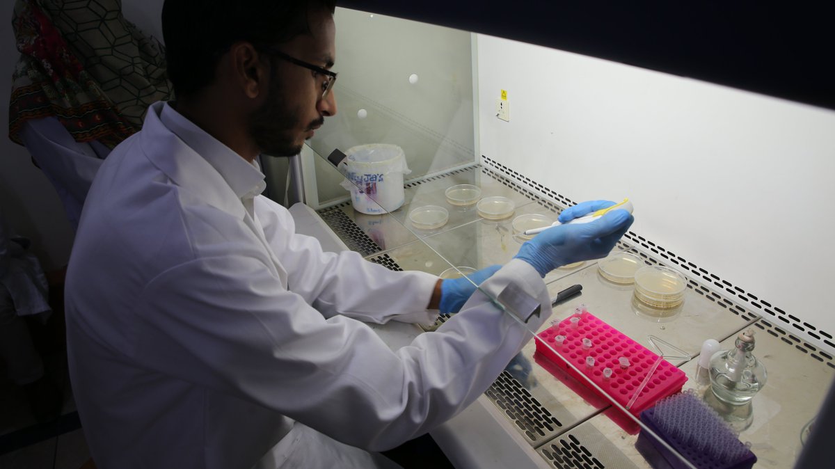 iibcecos's tweet photo. IIB concluded 𝐌𝐨𝐥𝐞𝐜𝐮𝐥𝐚𝐫 𝐁𝐢𝐨𝐥𝐨𝐠𝐲 𝐚𝐧𝐝 𝐆𝐞𝐧𝐞𝐭𝐢𝐜 𝐄𝐧𝐠𝐢𝐧𝐞𝐞𝐫𝐢𝐧𝐠 𝐋𝐚𝐛 𝐒𝐤𝐢𝐥𝐥𝐬, designed for bringing #Biology Teachers and Lab Instructors up to speed on the present-day #Science. The workshop was a smash hit among our keen educators https://t.co/Q0YgsYrK3D