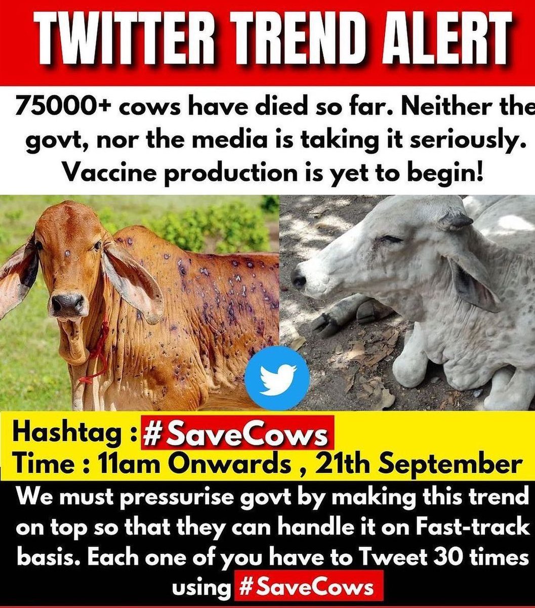 ByNitin's tweet photo. Lumpy Virus has taken deadly turn in Rajasthan, Gujarat and many other state. There is a need to take quick action to save and Cure For Cows.
GauRaksha Hamara Kartvya
#SaveCowSaveVillages https://t.co/k6yMRUVg0r