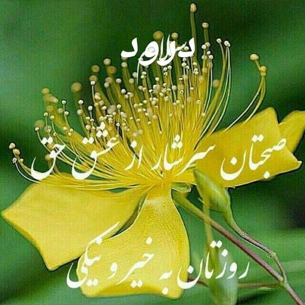 arsein16's tweet photo. #تصویرنمایه‌جدید https://t.co/rNSo97t7Be