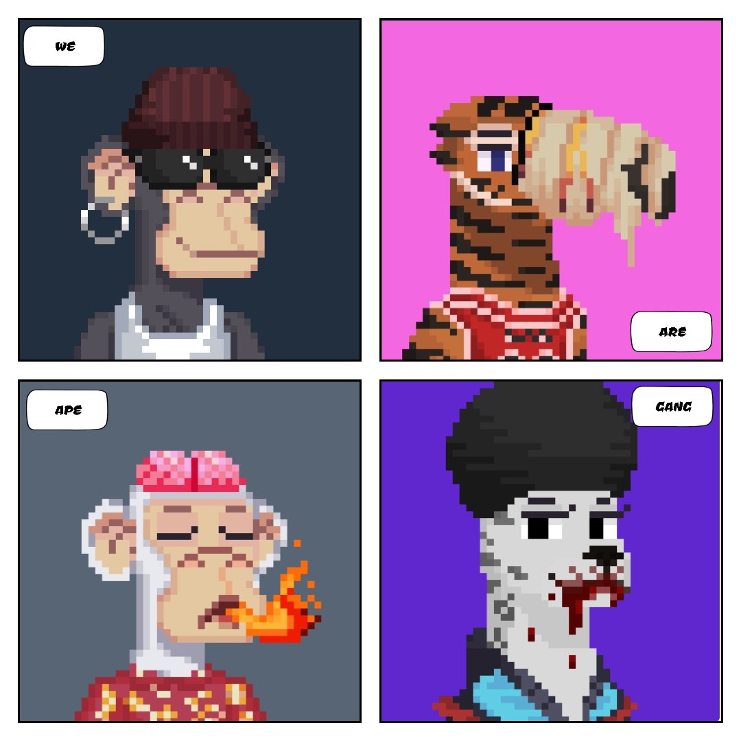 Applebuzz2's tweet photo. @abrfps @ApeGangNFT @jokongNFT As a holder of Apes, toucans and jags I have to say this is an understatement. What this team is building since the start and how they interact with their community is incroyable. #weareapegang #agfightclub @ApeGangNFT https://t.co/QEi6orSqzn