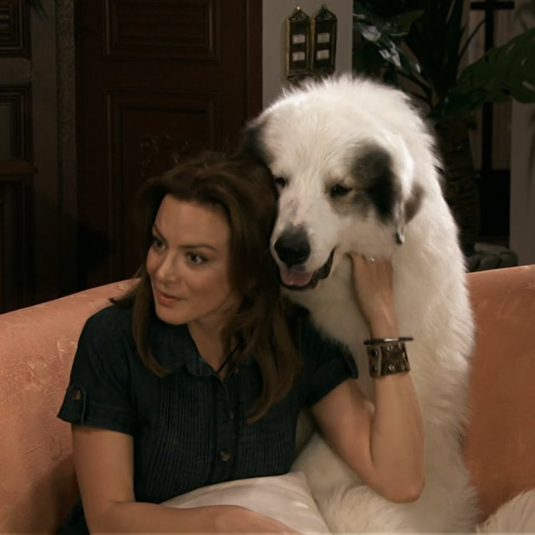 onemonyk's tweet photo. itiii que amor ♥️ @silvnavarro https://t.co/MylSF7IRLh