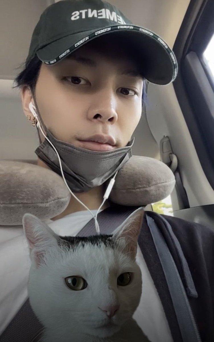 🐱 tweet media