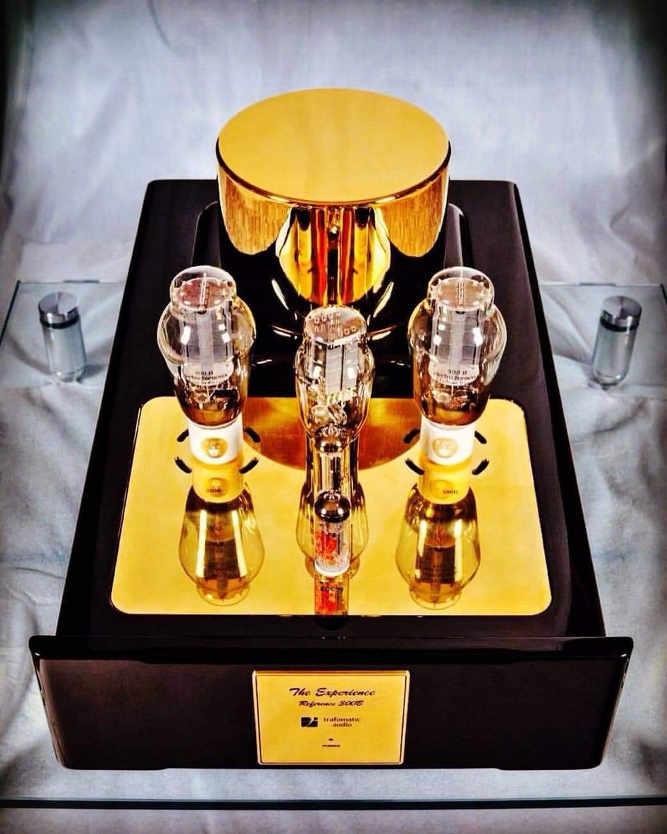 Berny2876's tweet photo. #TrafomaticAudio Legacy 
Experience Reference Monoblocks 300B https://t.co/U53017WA4A