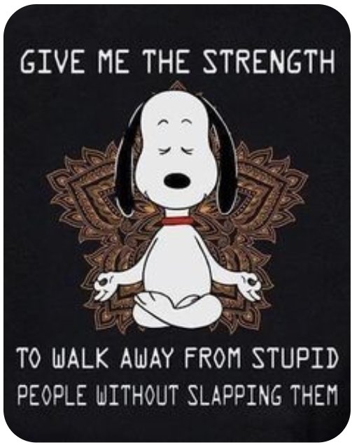 Sylviefitz63's tweet photo. Good morning you wonderful little munchkins. Have a great day, Friday is almost upon us. #thursdayvibes #nicethoughts https://t.co/MxHejY837h