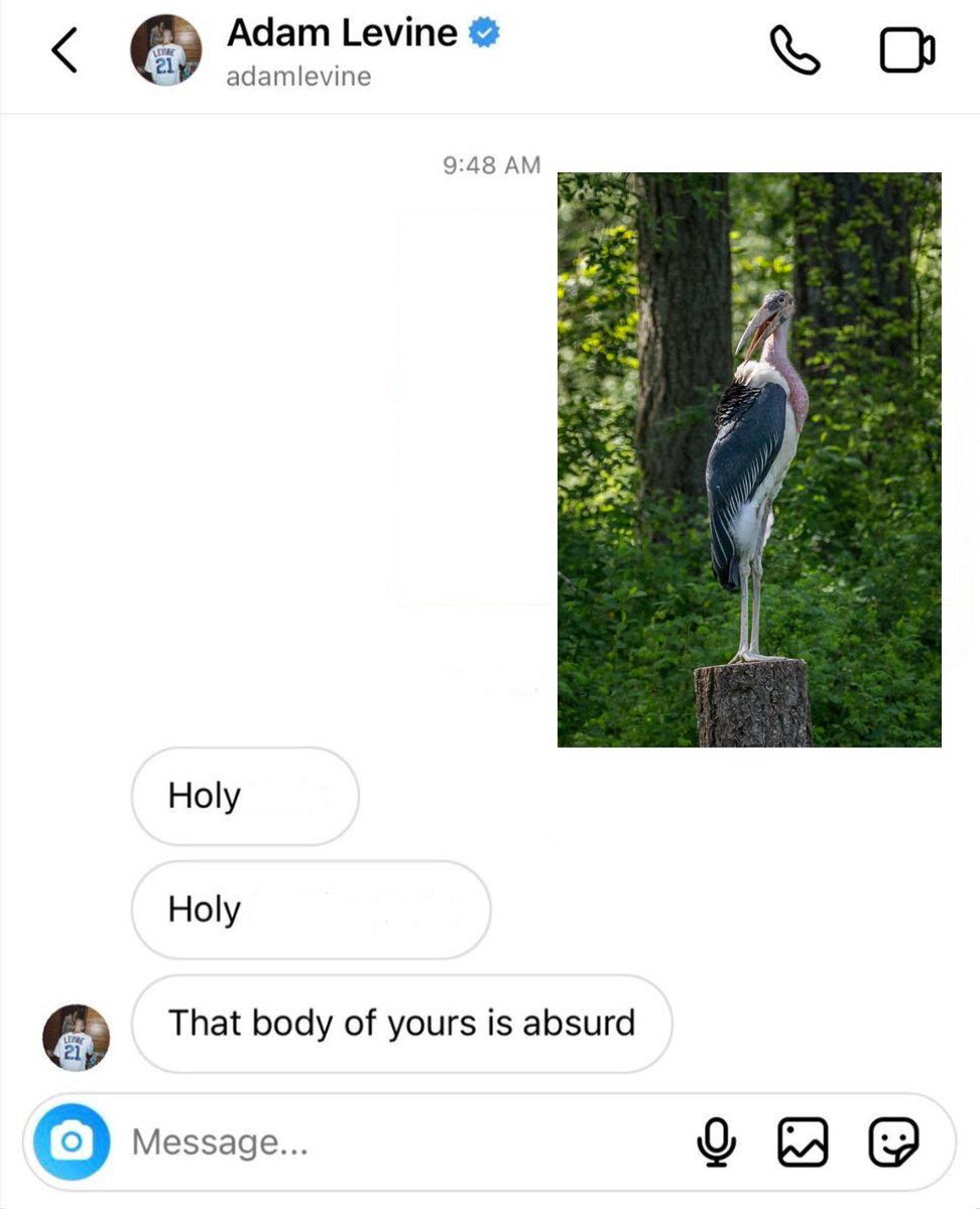 Adam Levine appreciating Gaston, the Marabou Stork!