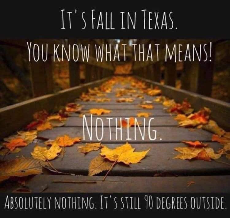 HistoriaNonSibi's tweet photo. Happy first day of fall everyone! 🍁☺️ https://t.co/6PcGRsBmqr