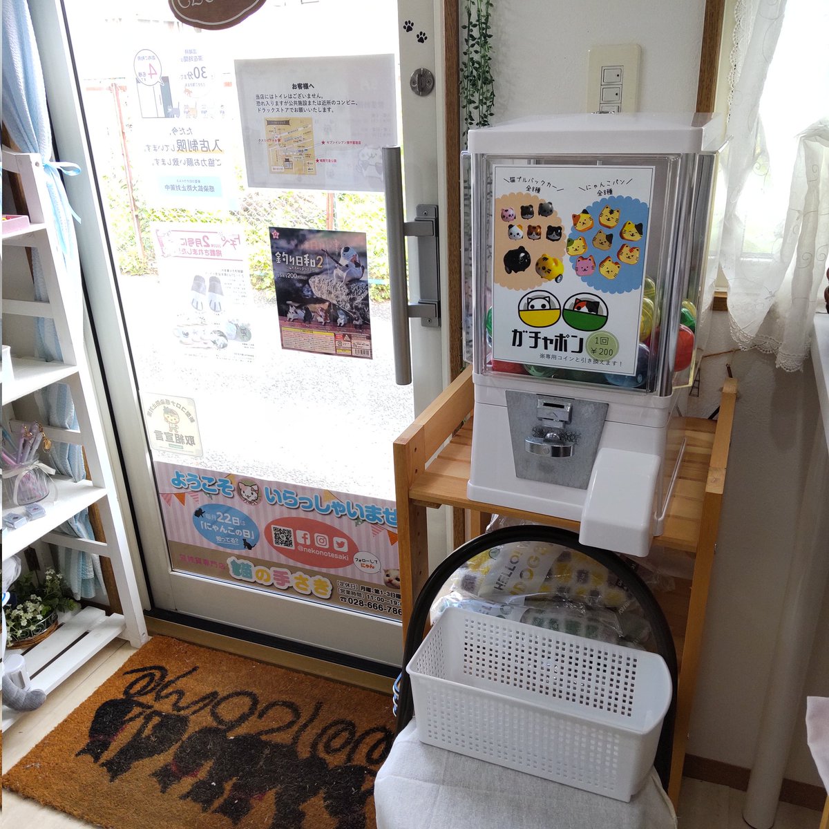 猫雑貨専門店 猫の手さき Nekonotesaki Twitter 猫雑貨専門店 猫の手さき Nekonotesaki Twitter