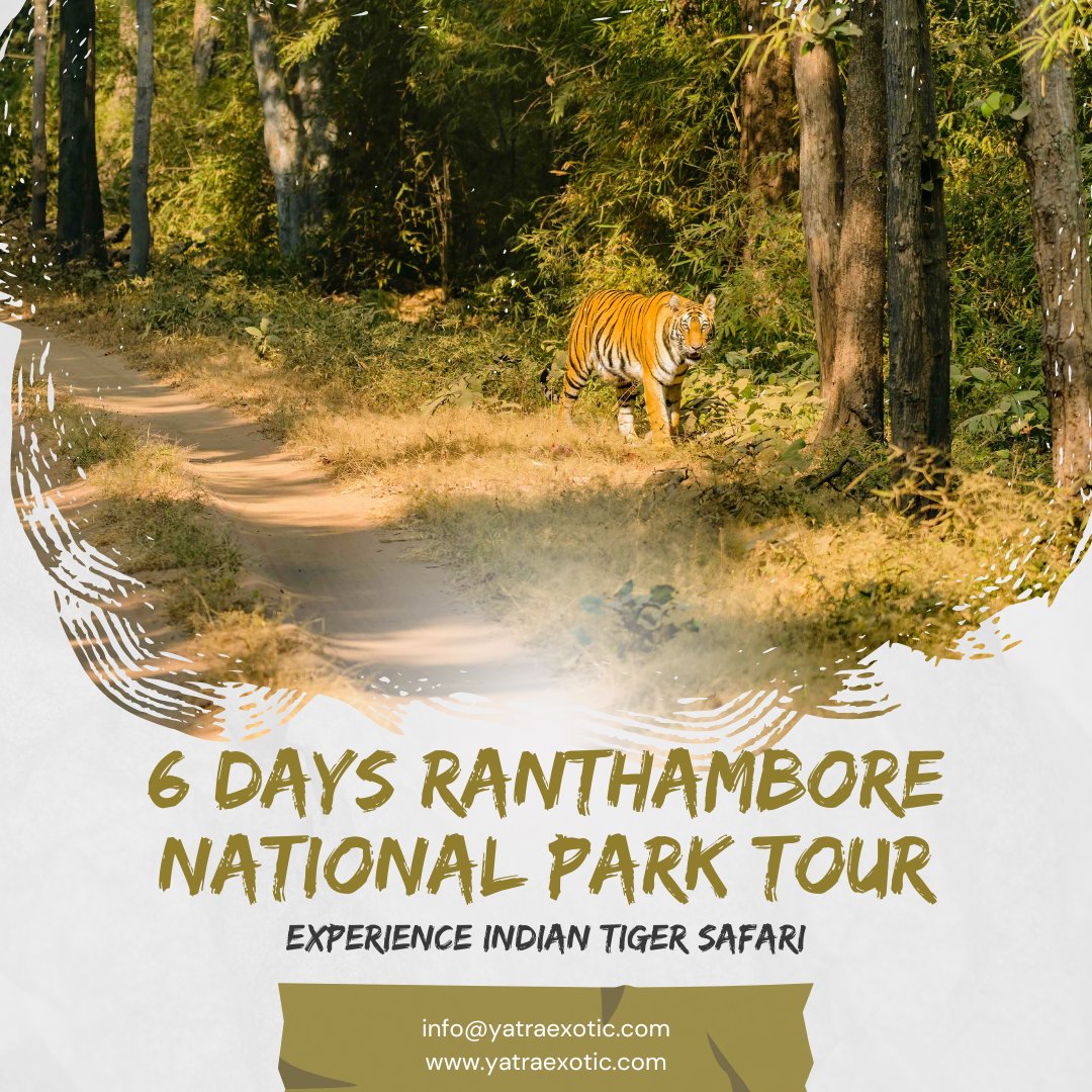 ExoticYatra's tweet photo. #ranthambore #safari #jeepsafari #wildlife

6 Days Ranthambore Safari Tour will let you experience jeep safaris at Ranthambore National Park, and will let you explore Delhi - the National Capital of India.

Trip also includes accommodation, sightseeing, transfers, and meals. https://t.co/KCVT9okXup