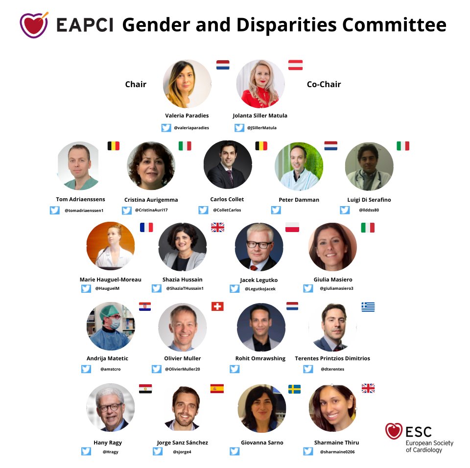 #EAPCI #E - Education #A - Advocacy #P - Publications #C - Congresses #I - Innovation A key role of #EAPCI is advocating for underrepresented populations both patient and physician Meet the 2022-2024 #EAPCI Gender and Disparities Committee