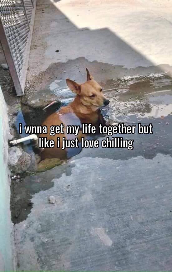 somethinglovely's tweet image. 