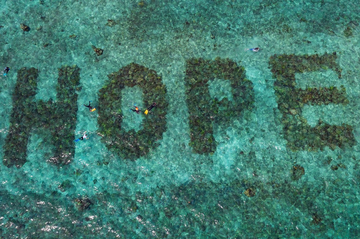 BenWilliamsSci's tweet photo. Bontosua Island is the epicentre of the worlds largest reef restoration project 🪸 The team are now training local community members here, and others around the world, on how to restore their reefs 🐡🐠🐟 Couldn’t think of a cooler project to research during my PhD!! https://t.co/XJredRuKF2