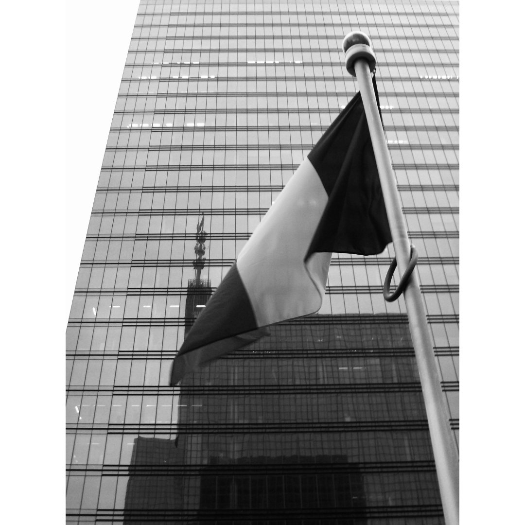 93DWTW's tweet photo. 🇧🇪

📸 ƈɨȶʏ ʋɨ63ֆ © panthera, BXL
#93DWTW #igbrussels #brussels #brussel #belgium  #streetphotography #blackandwhitephotography #bnw_and_noir #bnwp_2022 #lightsandshadow #bnw_zone #bw_perfect #fair_noir #bw_addiction
https://t.co/OM2nadPWZE https://t.co/TKfv7ysyTk