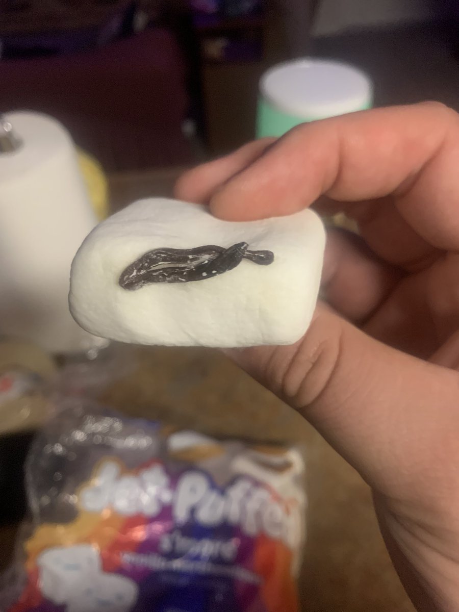 Chase 🐒 tweet media