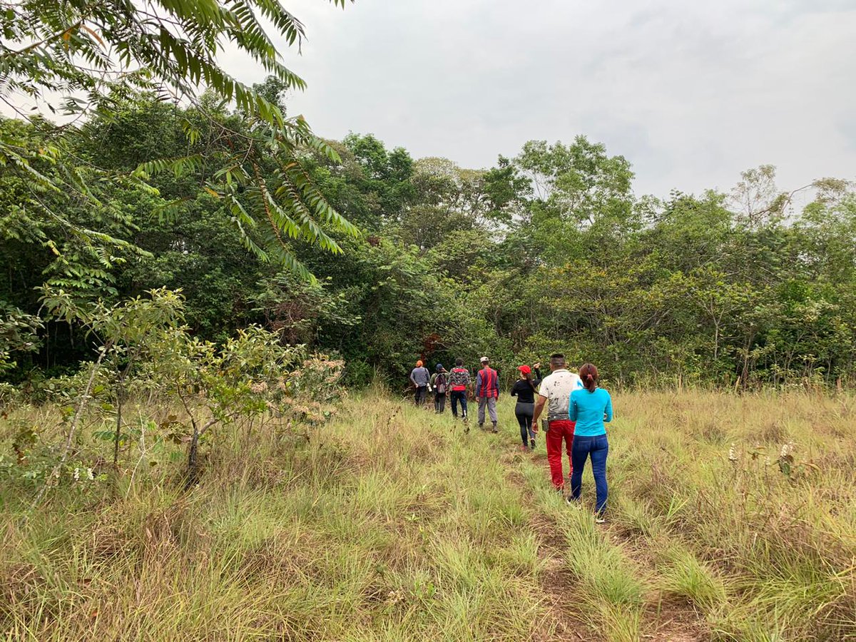 Our #interdisciplinary program #PeaceWithNature @Sydney_Science celebrates #InternationalDayOfPeace
We'll continue empowering #excombatants to protect #Colombian #biodiversity & create new life choices for their #reincorporation
#UKPACT @UKinColombia #Amazon #Amazonas 
🇨🇴🇬🇧🇦🇺