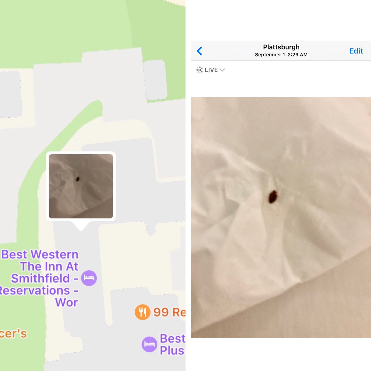 DjCaz_514's tweet photo. @bestwestern a very upset Diamond member From Montreal, Canada, Experienced bed Bugs at your Plattsburgh Location &amp; NO RUFUND HAS BEEN GIVEN, the  Management are accusing me of lying Yet We Have Proof! I’ve already opened a file With BBB and Plan to go further if not resolved https://t.co/Sx0tOknAcU