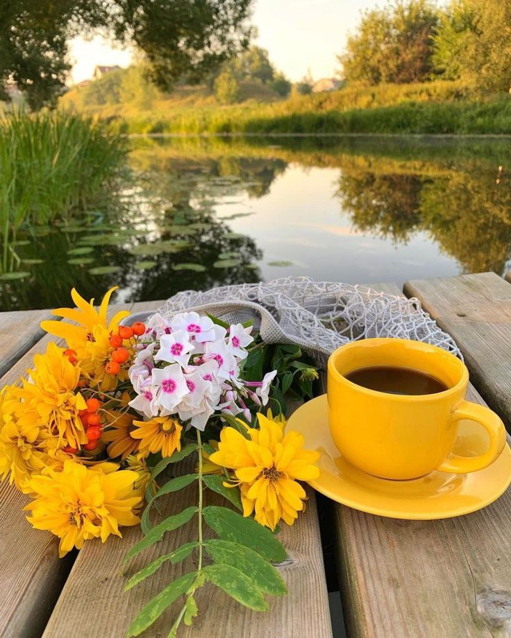 Olga_Zah's tweet photo. Доброе утро Всем! ☕🌺🌿🍂 https://t.co/CUlH3qbYuW