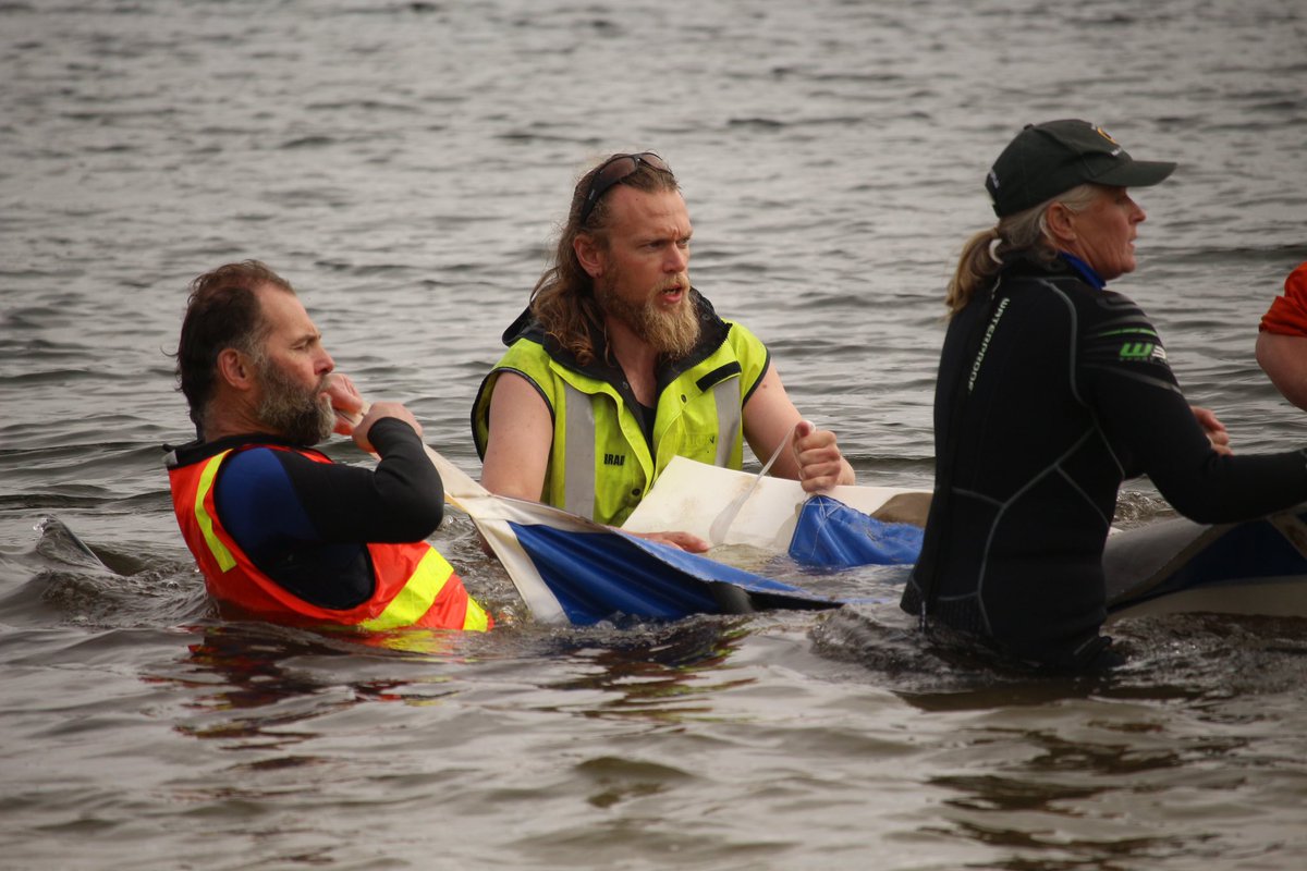 MonteBovill's tweet photo. Incredible scenes here on Tasmania’s west coast, with the surviving whales being taken to deeper waters @abcnews https://t.co/n7wPhp5o6l