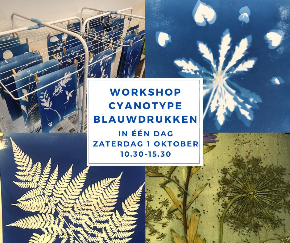 Workshop Cyanotype blauwdrukken in 1 dag, zaterdag 1 oktober in Utrecht 10.30-15.30 Er is nog plaats voor 2 personen. hetschildersbedrijf.nl/Cyanotype-work… #blauwdrukken #workshop #creatief #utrecht