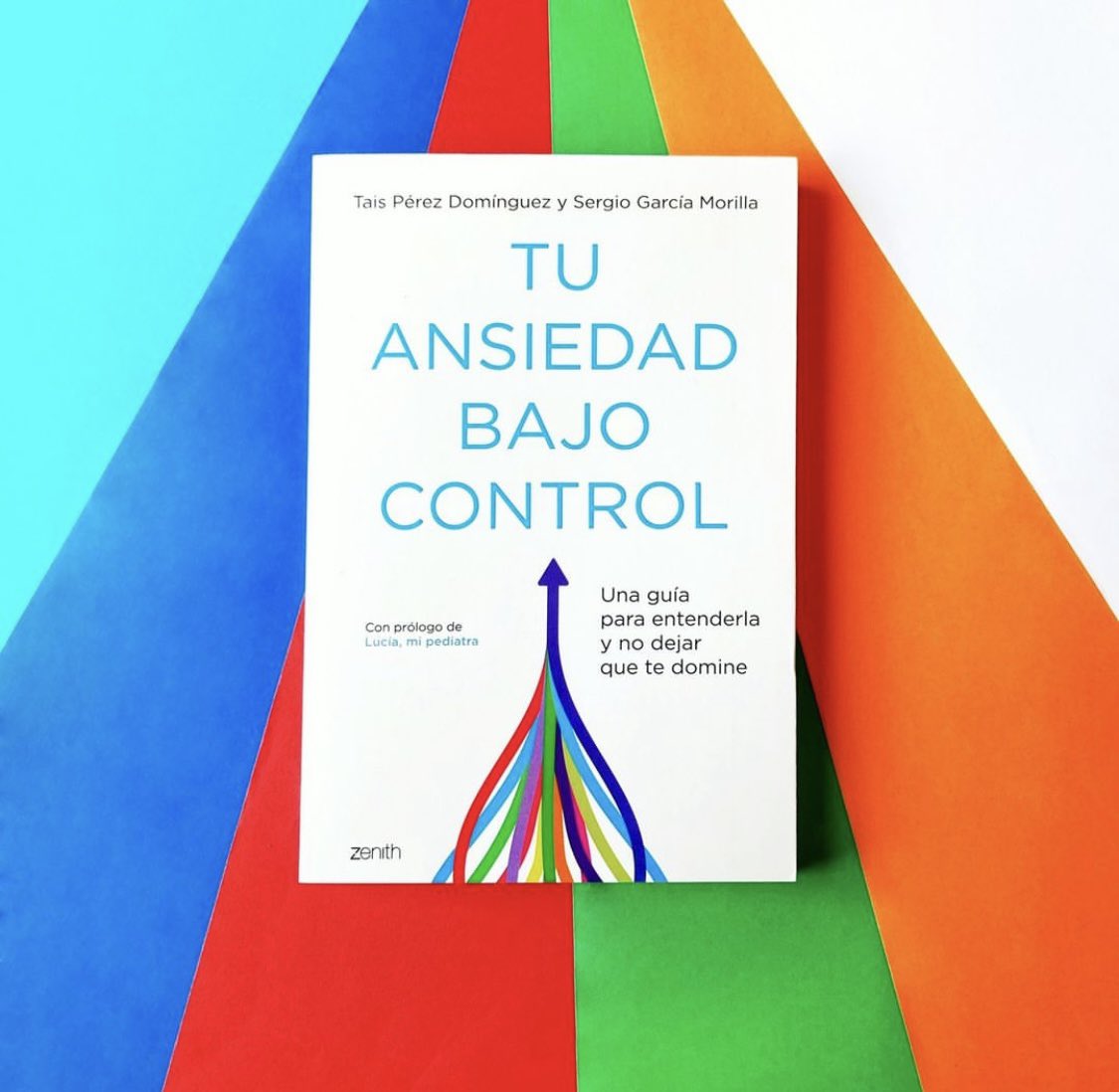PsicoSaludTf's tweet photo. Ya a la venta nuestro primer libro 💙. Un libro que recopila en un lenguaje sencillo y claro TODO lo que sabemos sobre la ansiedad, TODO lo que trabajamos en consulta y las estrategias que existen a día de hoy para gestionarla y dejar de sufrir por ella. https://t.co/d0djdiHsZg