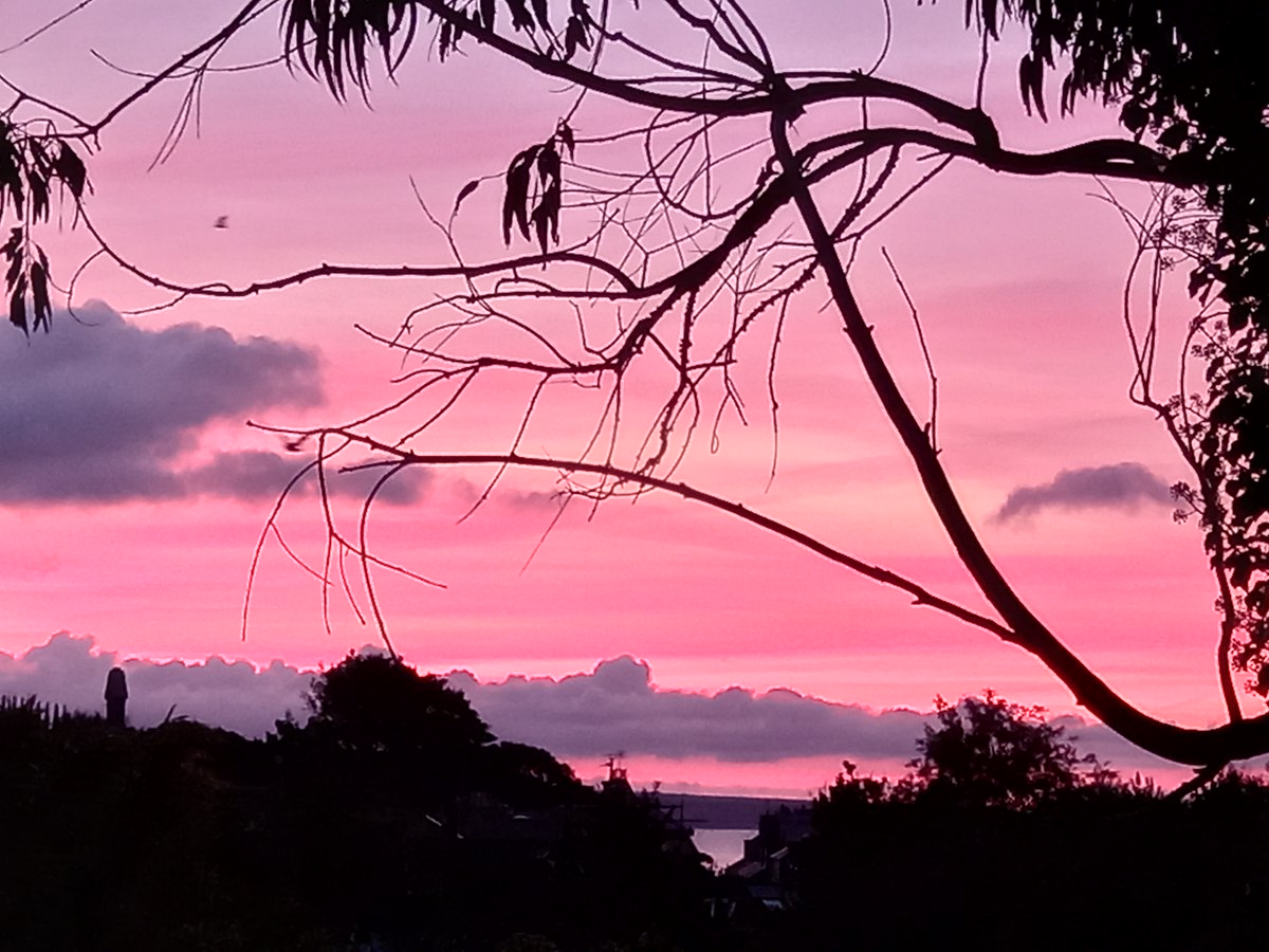 morrablibrary's tweet image. A glorious sunrise view from Morrab Library this morning....but what do they say about pink skies in the morning? 🤔☔

#sunrise #lovepenzance #libraryviews #loveyourlibrary #autumn
