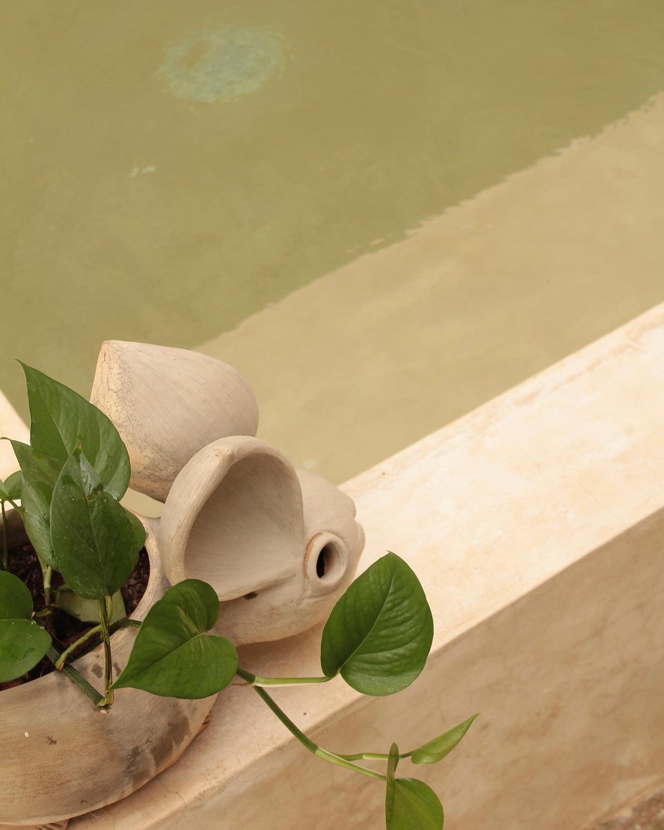arroarquitecto1's tweet photo. Casa nativa

 #Arquitectura #aesthetic #pool #chiapas #architecture #tuxtlagutierrez https://t.co/TaO2AJa2nJ