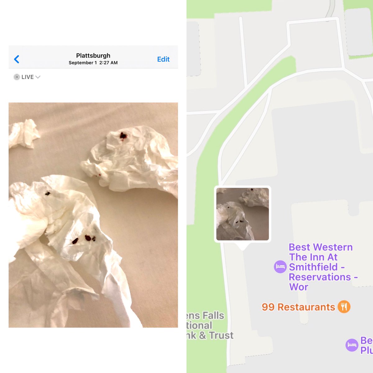 DjCaz_514's tweet photo. @ClintonCountyHD , stayed at @bestwestern In Plattsburgh, very discusted &amp; experienced bed Bugs &amp; NO RUFUND HAS BEEN GIVEN, the  Management are accusing me of lying Yet I Have Proof! I already opened a file With BBB&amp;Plan to go further if not resolved, travelled from Montreal, CA. https://t.co/EZP2QNPAT5