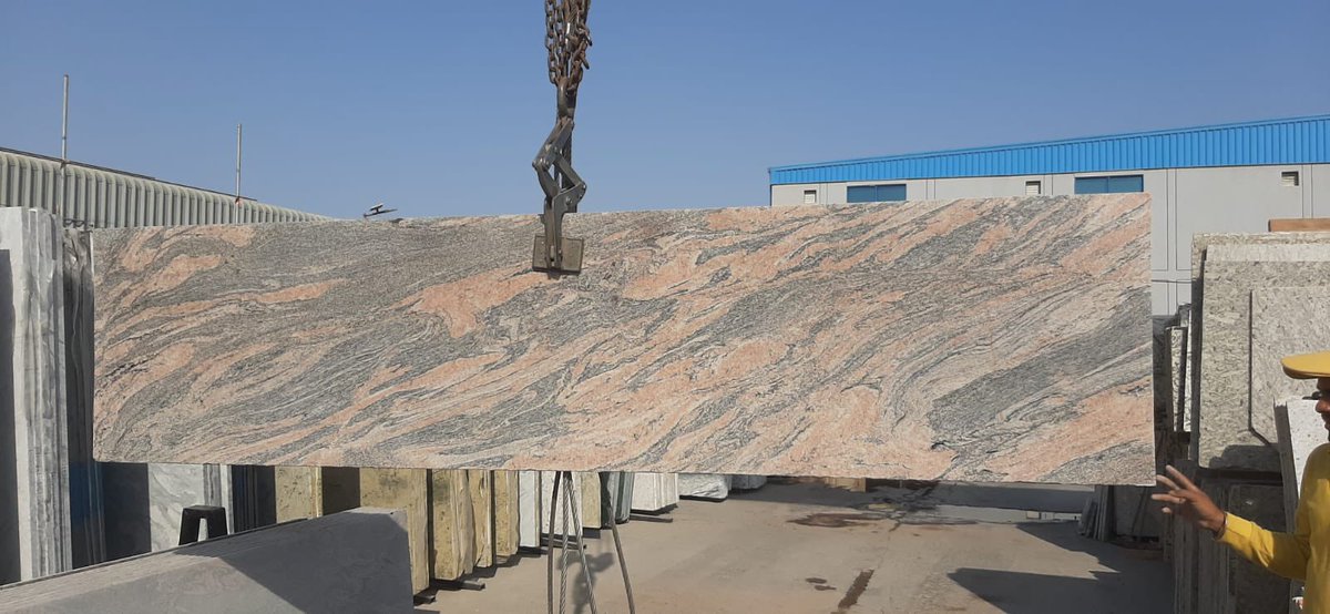 Indian Juprana / Pink Juprana