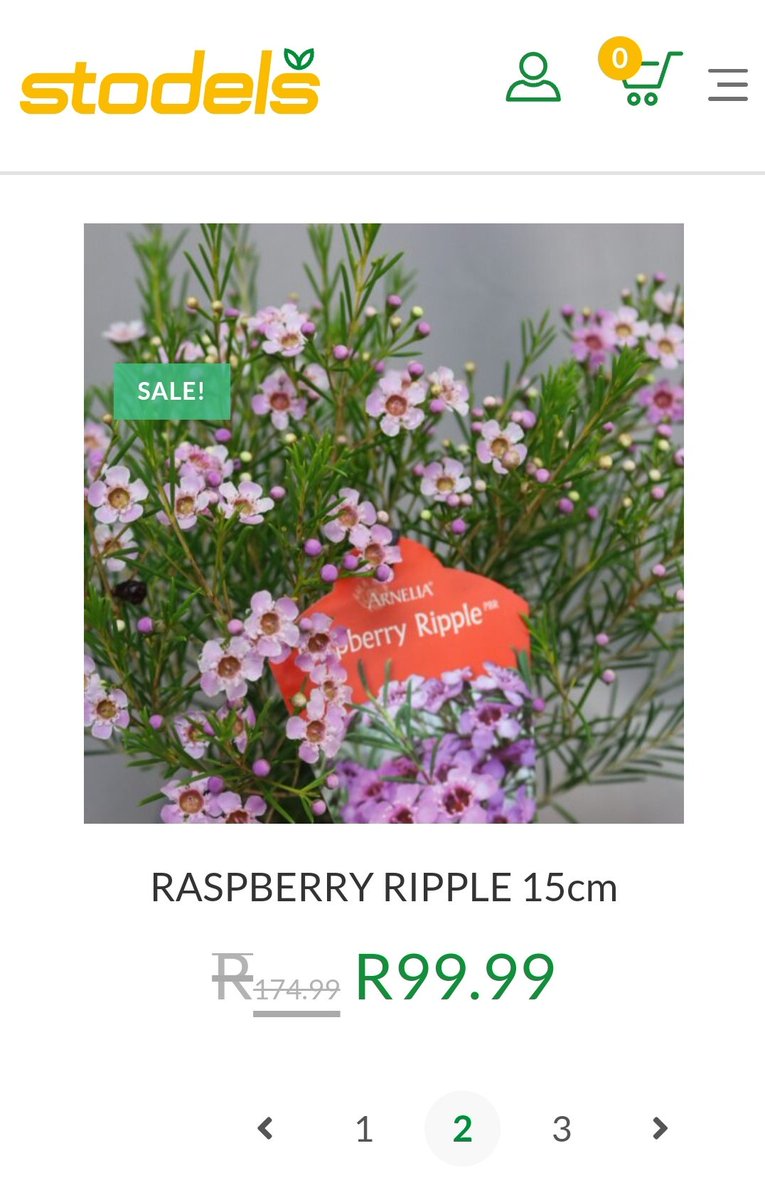 RK_ct's tweet photo. There's a disturbing tendency in retail nurseries to plonk anything water wise under indigenous. And even sell aussies as #Fynbos.
Not on #Stodels https://t.co/lfi1Hh7kSU