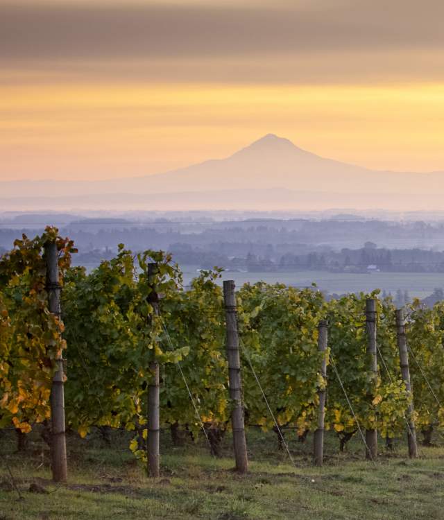 Alexandra Weisberg tweet media