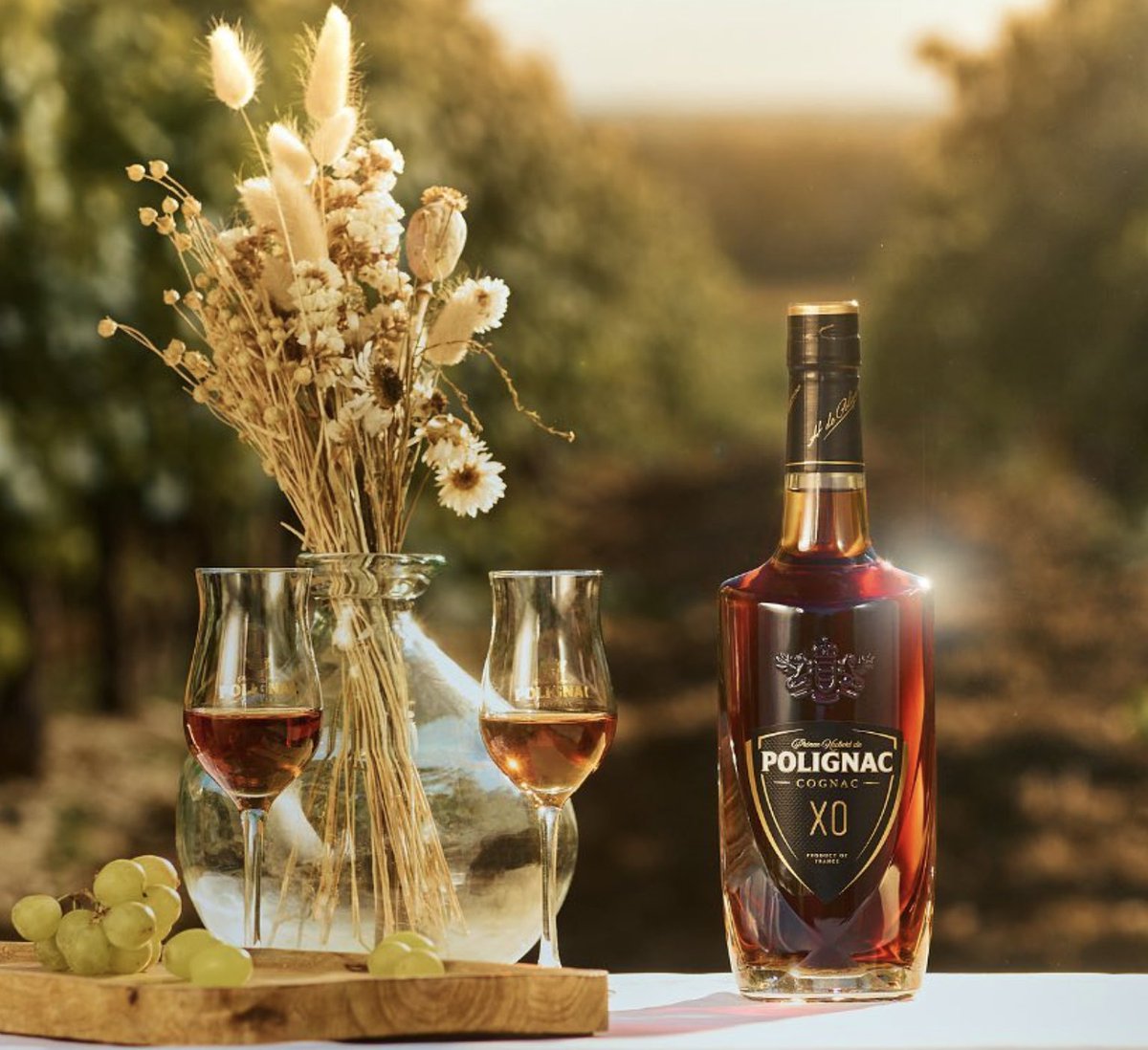WorldCognacClub's tweet photo. With Cognac Prince Hubert de Polignac XO, you can discover the depth and richness of aging in the House of Prince Hubert de Polignac. 

#worldcognacclub #cognac #cognaclife #cognaclover #Polignac #PrincePolignac #PolignacCognac #cognaclovers #XO #ExtraOld https://t.co/7GgYArfyRI