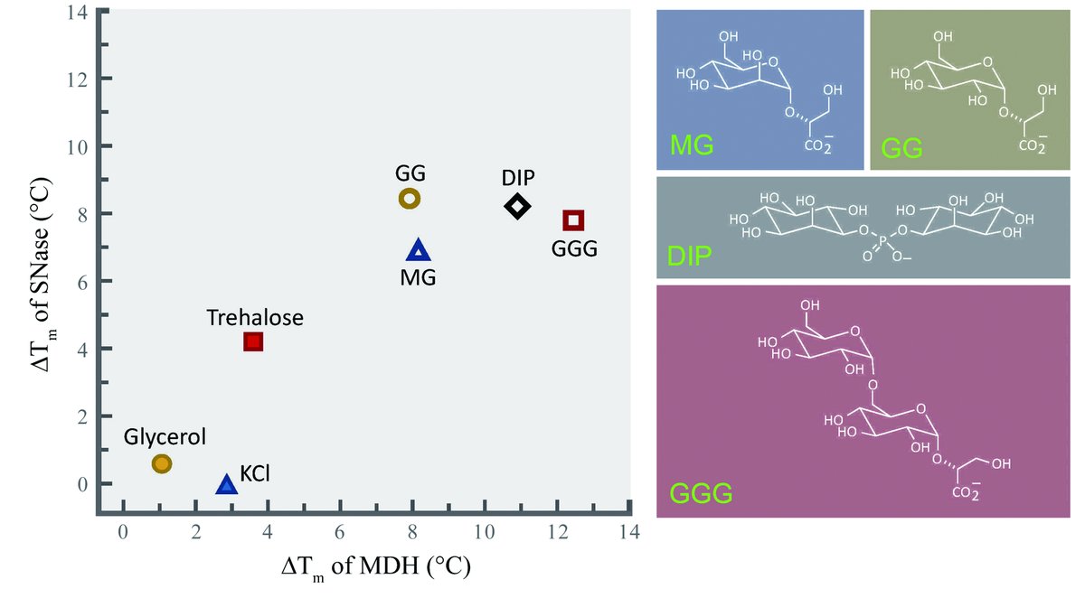 MLSTNews's tweet photo. Solutions: how adaptive changes in cellular fluids enable marine life to cope with abiotic stressors
https://t.co/H9pCmp8wNm https://t.co/tu07x5is4R