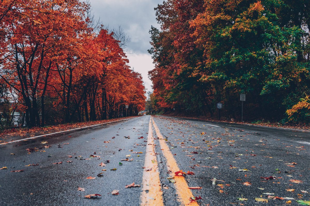 unchiul_sam's tweet photo. ❤️🍁#Autumn #roud https://t.co/BcpY6GqPzg