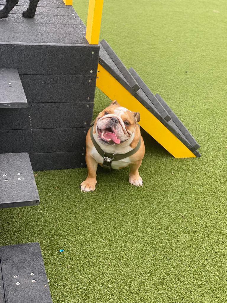 🦄 sarah mitchell tweet media