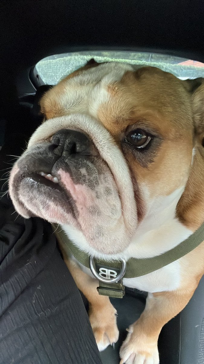 🦄 sarah mitchell tweet media