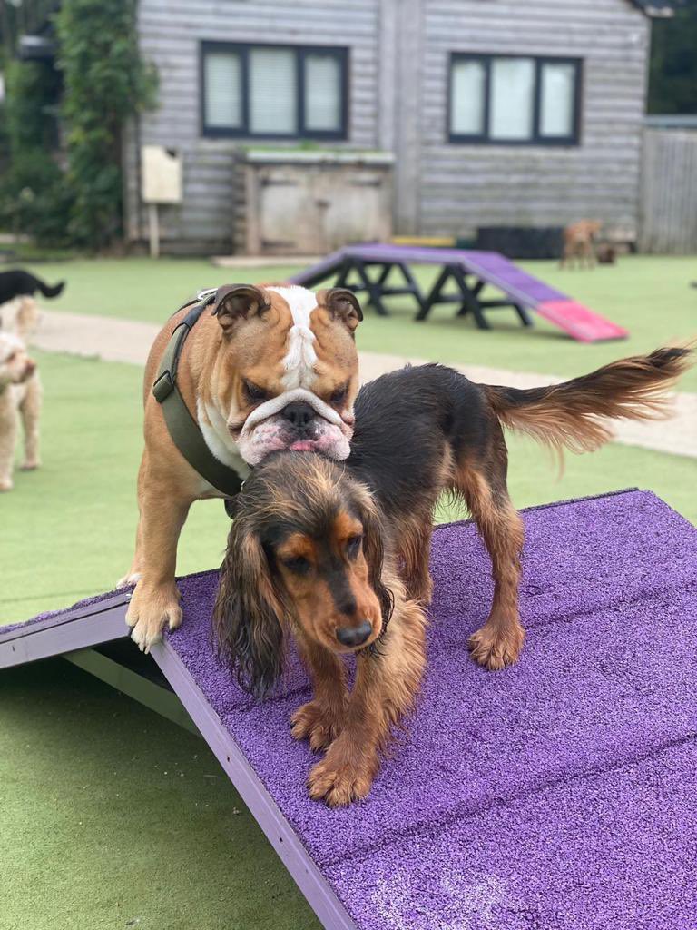 🦄 sarah mitchell tweet media