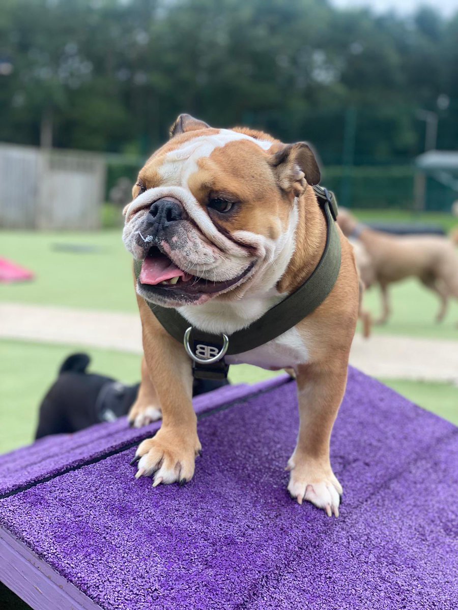 🦄 sarah mitchell tweet media