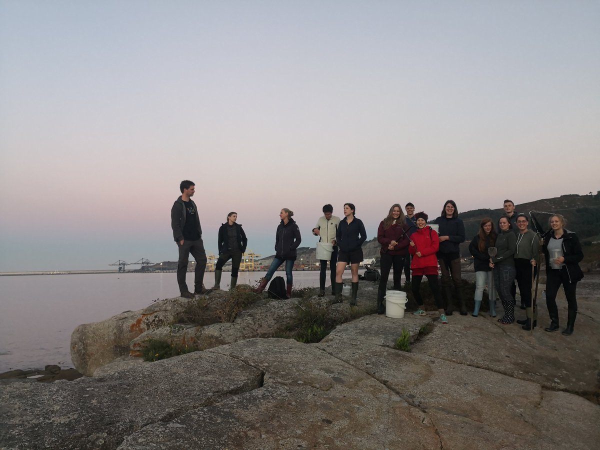 Early field work start on day 4 of the <a href="/UGoe_AEB/">Animal Evolution Biodiversity</a> marine biology field course. Playa de Sant Cristóbal in Ferrol @ebmg_usc