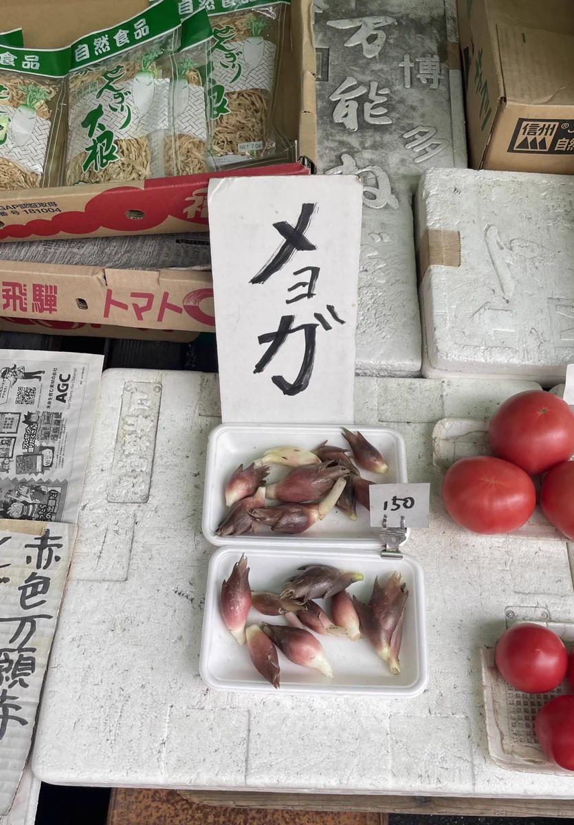 店頭で見つけたみょうがの品札「メョガ」。これは強い。
