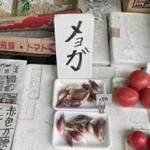 店頭で見つけたみょうがの品札「メョガ」。これは強い。