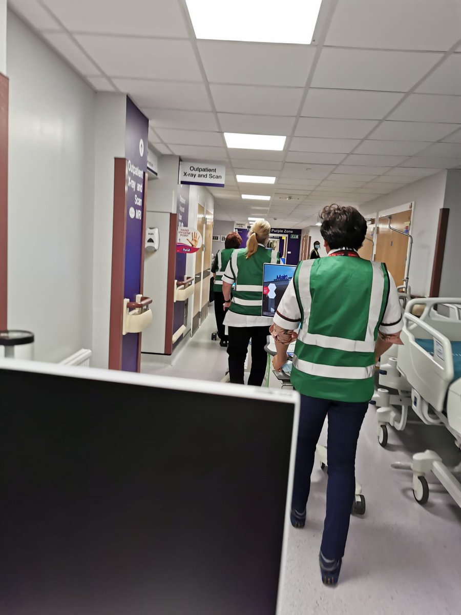 SASH Chief Pharmacist tweet media